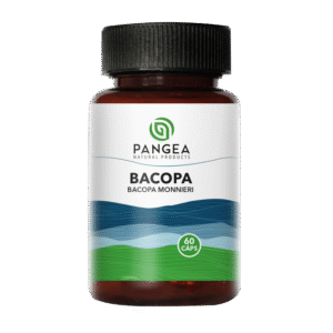 Capsulas Bacopa 500mg – Pangea – 60 Cap
