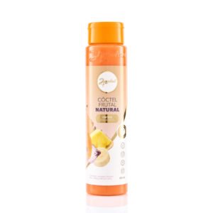 Coctel de Frutas Naturales – Anyeluz – 450ML